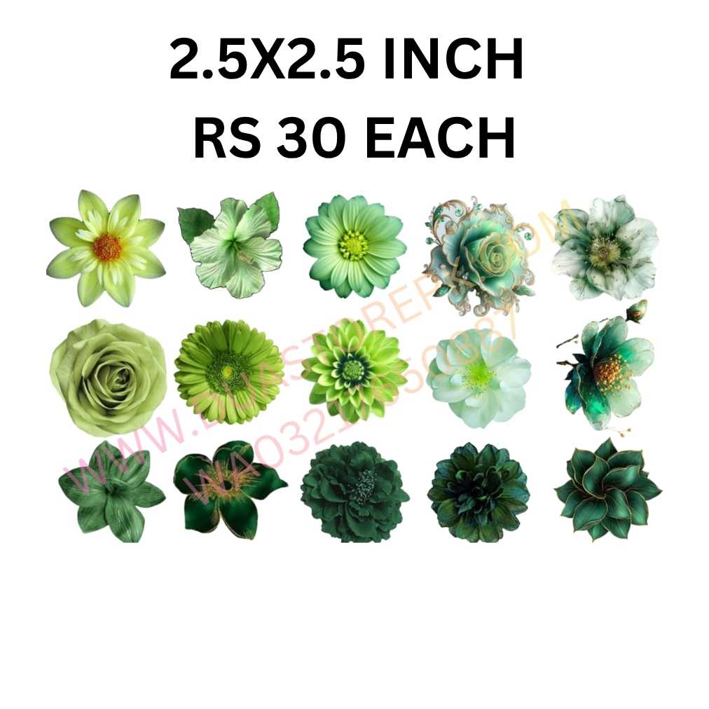 GREEN FLOWERS IRON ON PATCHES INDEPEDENCE DAY SPECIAL