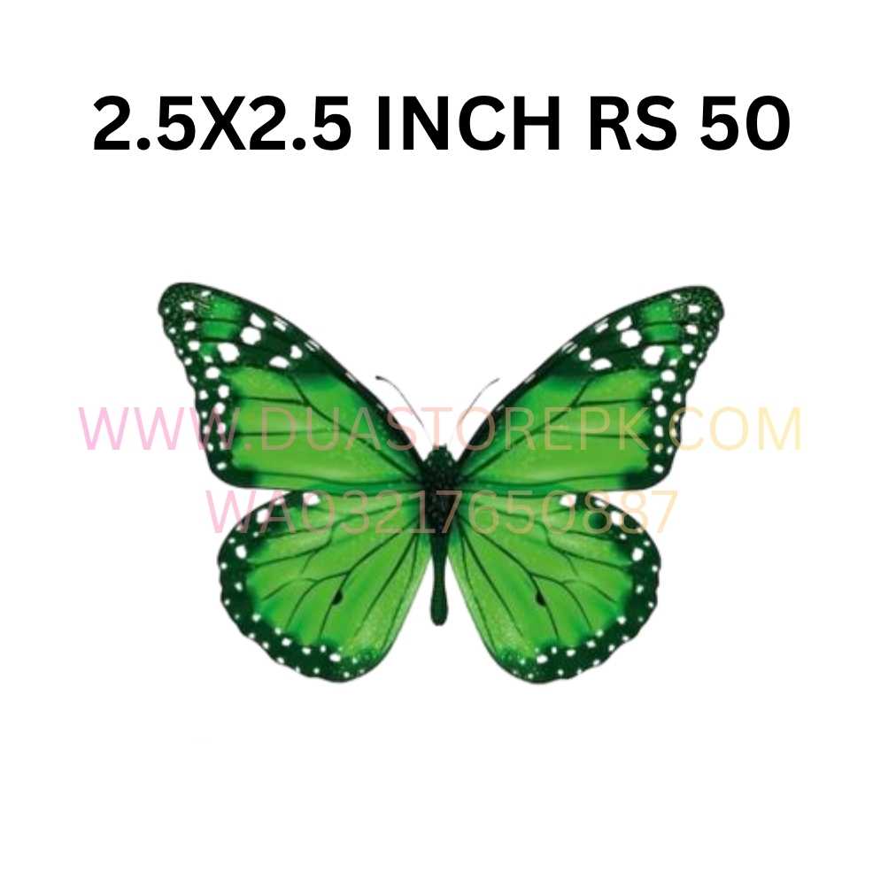 GREEN BUTTERFLY PREMIUM IRON ON PATCH INDEPEDENCE DAY SPECIAL