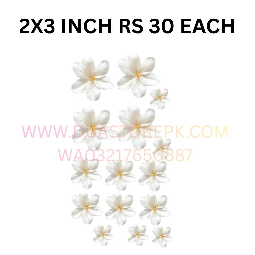 WHITE FLOWER IRON ON PATCH SMALL HD QUALITY