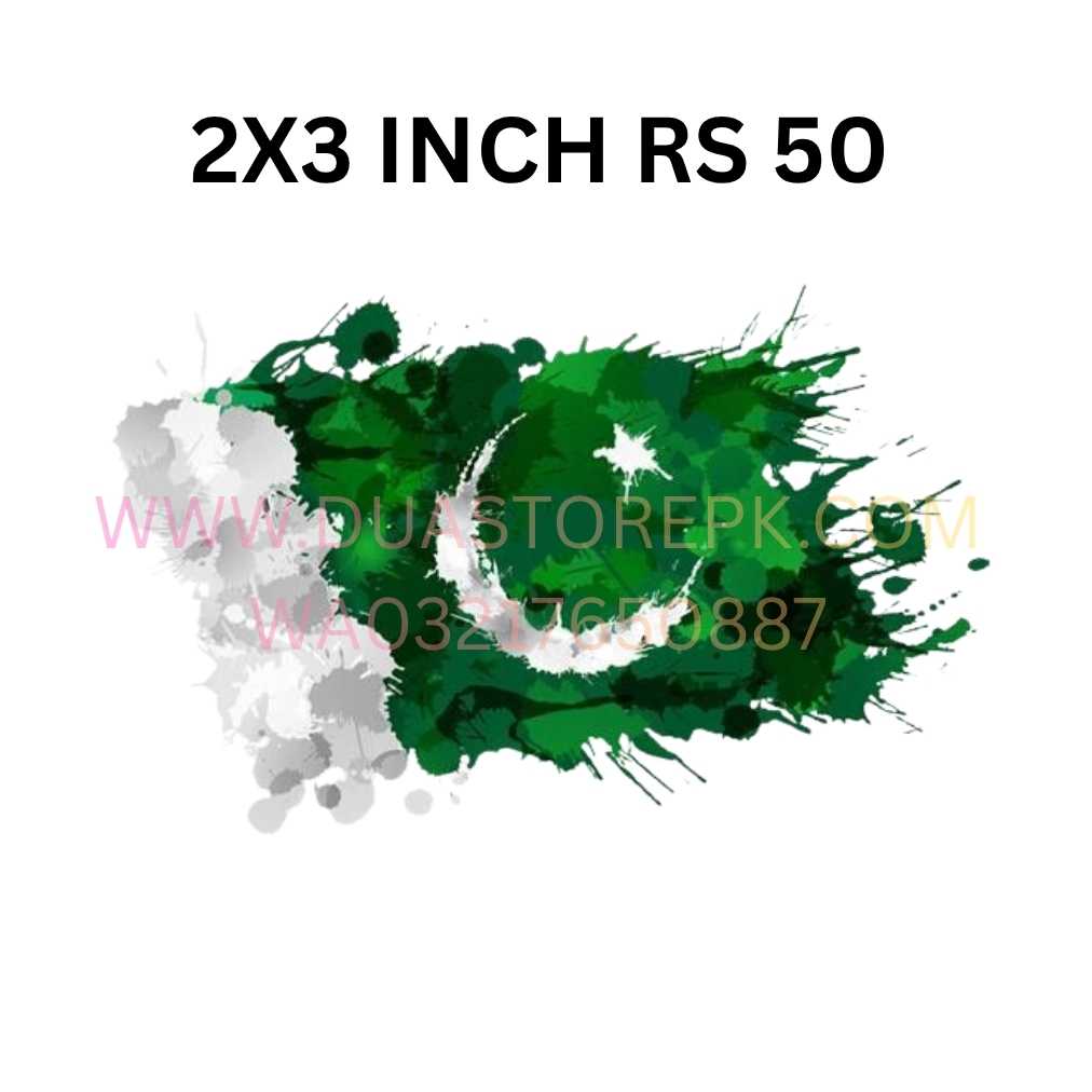 PAKISTAN FLAG IRON ON PATCH SMALL