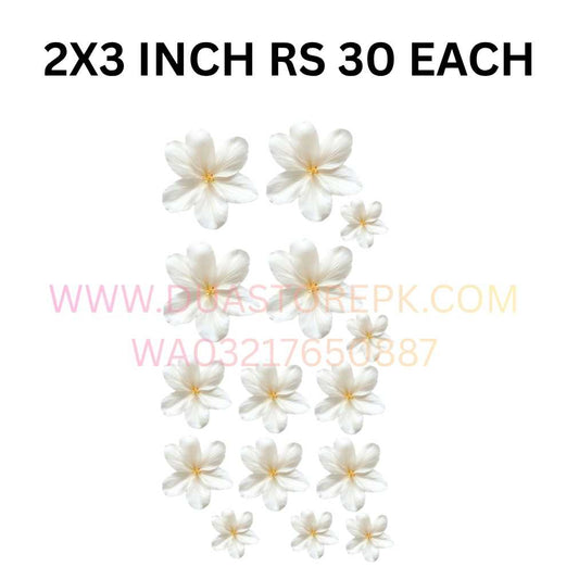 WHITE FLOWER IRON ON PATCH SMALL HD QUALITY