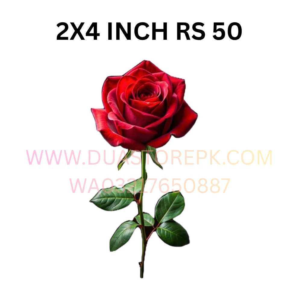 RED ROSE BEAUTIFUL IRRON ON PATCH