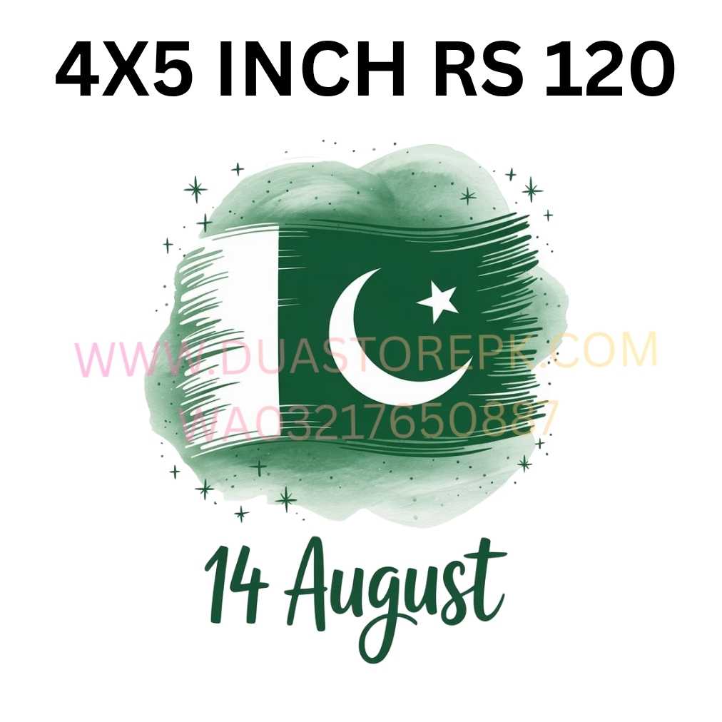 PAKISTAN FLAG BIG IRON ON PATCH INDEPEDENCE DAY SPECIAL